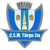 ACS特爾古日烏
