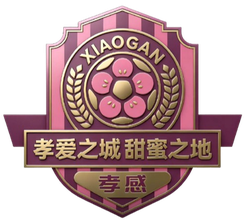 孝感隊