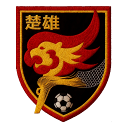 楚雄隊
